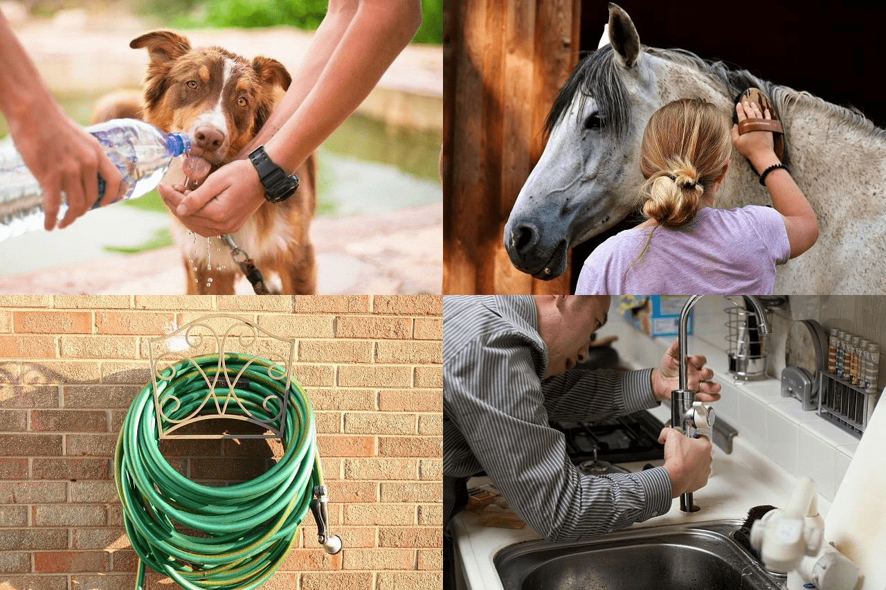 Perro protegido, caballo preparado, manguera de jardín, cañerías