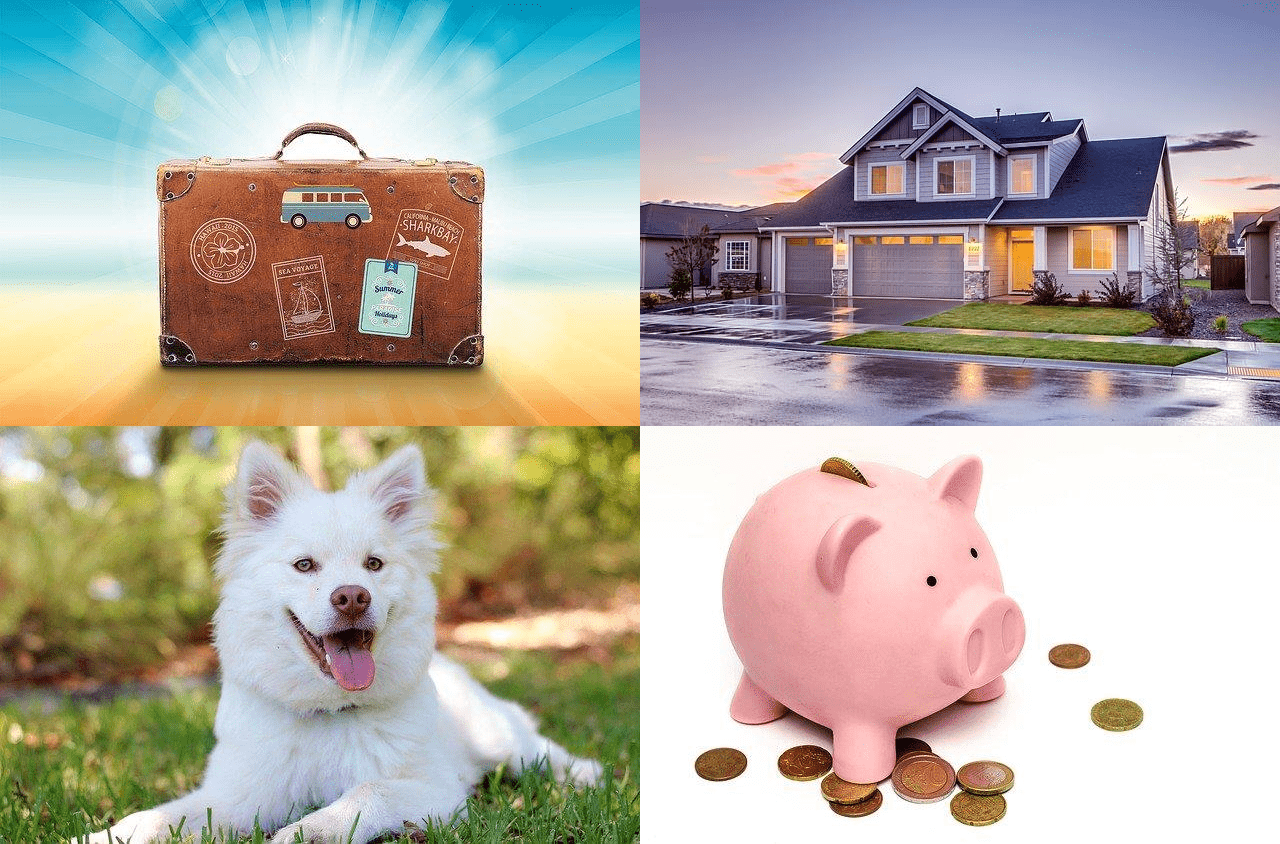 Travel, free accommodation, pets, savings