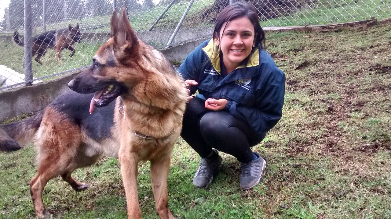 Pet-sitter que cuida de un perro