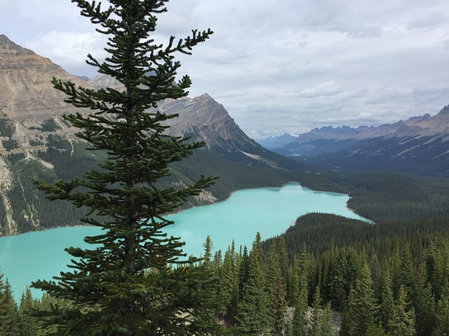 Lago Peyto, Alberta, Rocosas Canadienses