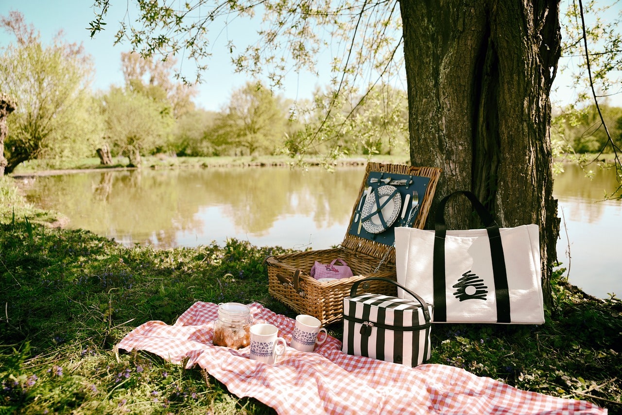 Picnic en la hierba en el campo