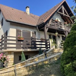 Basia Bains-les-Bains France