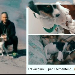 Renato77 Olbia Italy