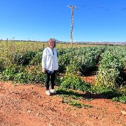 Aida La Neuville-sur-Essonne France