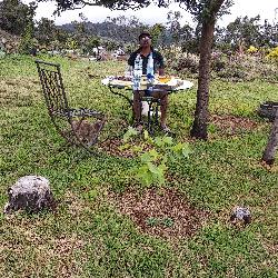 Alexandra974 La Plaine des Cafres Reunion