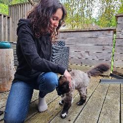 AureliaBt Thizy-les-Bourgs France