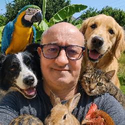 Buddy47 Villeneuve-sur-Lot France