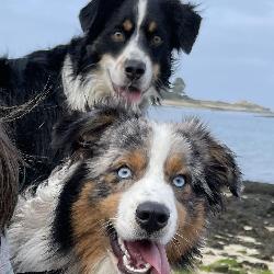 Carine L'Aber Vrac'h France