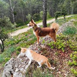 Carolina83210 Solli&egrave;s-Ville France