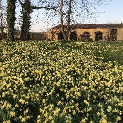 Domidipri Quincieux France