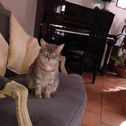 Elisa Vernou-la-Celle-sur-Seine France