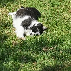 Fridu Qu&eacute;m&eacute;n&eacute;ven France