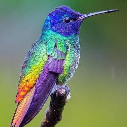 Helenecard Nantes France