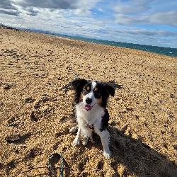 KarineD Tarnos France