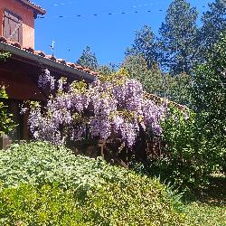 Mame Escassefort France