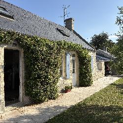 Momo Bayeux France