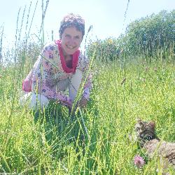 Pepite Tréflez France