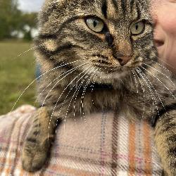 SagaSergio Åsvang Norway