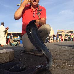 ThierryAGAD Agadir et Toulon Morocco