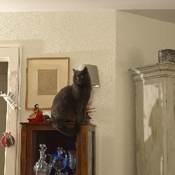 Thulagips Savigny Switzerland