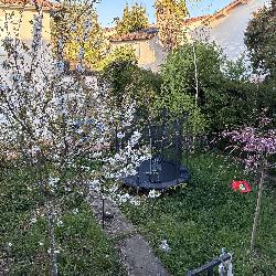 Xaviere Toulouse France