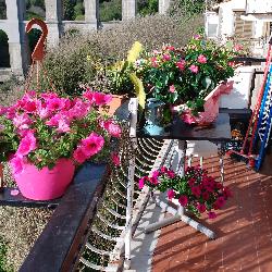 Angelalanciotti, Home sitter Rome Italy | 2