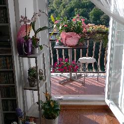 Angelalanciotti, Home sitter Rome Italy | 3