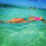 Antonob7, Home sitter Holbox Mexico | 4