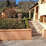Balloo, Home sitter Joinville France | 1