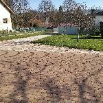 Balloo, Home sitter Joinville France | 3