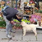 Borrie1307, Home sitter Frome United Kingdom | 8