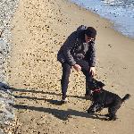 Borrie1307, Home sitter Frome United Kingdom | 4
