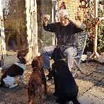 Borrie1307, Home sitter Frome United Kingdom | 9