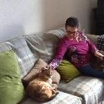 Borrie1307, Home sitter Frome United Kingdom | 6