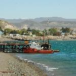 cabrito Comodoro Rivadavia Argentina