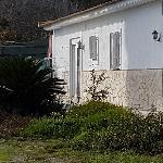 Camelia29, Home owner Vélez-Málaga Spain | 1