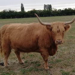 Dede34, Home sitter Béziers France | 4