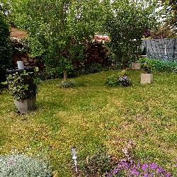 Doudouedith61, Home sitter Argentan France | 6