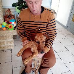Doudouedith61, Home sitter Argentan France | 7