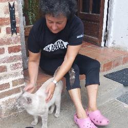 Ekhilits, Home sitter Durango Spain | 2