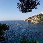 Flots, Home sitter Marseille France | 3