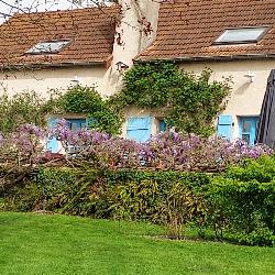 gebe Bert France