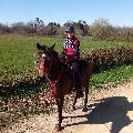 Gironde, Home owner Reignac France