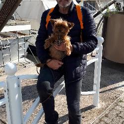 Grander, Home sitter Montpellier France | 2