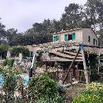 Guitou, Home sitter Draguignan France | 2