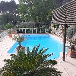 Guitou, Home sitter Draguignan France | 4