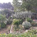Guitou, Home sitter Draguignan France | 6
