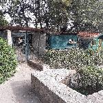 Guitou, Home sitter Draguignan France | 7