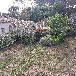 Guitou, Home sitter Draguignan France | 8