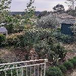 Guitou, Home sitter Draguignan France | 9